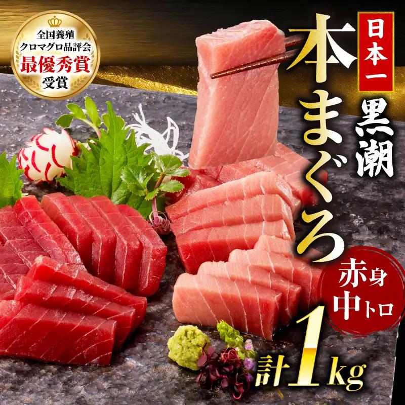 本マグロ 2種セット 中トロ 赤身 1kg マグロ