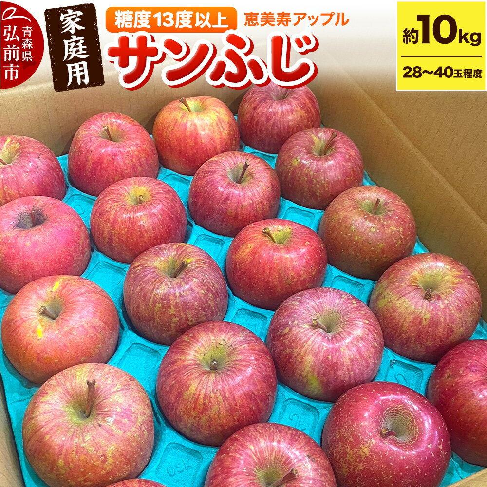 【ふるさと納税】【25年12月〜発送】りんご 【糖度13度以上】サンふじ 約10kg 【家庭用】 青森県 フルーツ 果物