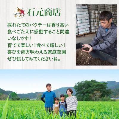 ふるさと納税 四万十町 初心者も安心「並盛り」パクチー栽培キット |  | 03