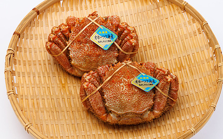 北海道産　浜茹で毛ガニ　350g前後×2尾_魚介・海産物 毛ガニ カニ けがに 毛蟹_【配送不可地域：離島・沖縄県】【1272323】