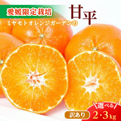 【ふるさと納税】【2026年2月より順次発送】愛媛限定栽培柑橘 甘平(かんぺい) 2kg / 3kg 【訳あり】_ みかん ミカン 蜜柑 甘平 かんぺい 訳あり 果物 くだもの フルーツ デザート 甘い おいしい かんきつ 柑橘 柑橘類 国産 愛媛 愛媛県【G1138005】