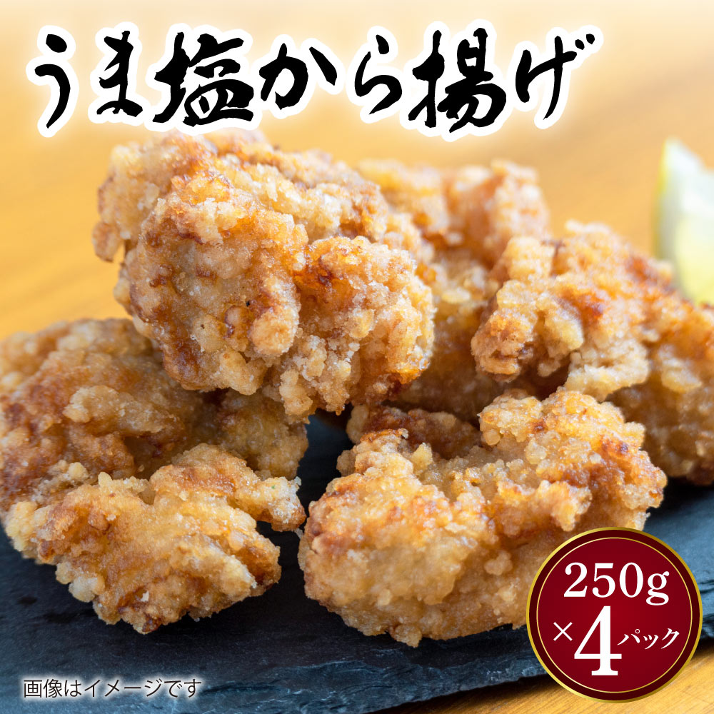 【ふるさと納税】うま塩 から揚げ 合計 1kg 250g×4パック 唐揚げ からあげ 和食 惣菜 おかず レンジで簡単 冷凍 送料無料