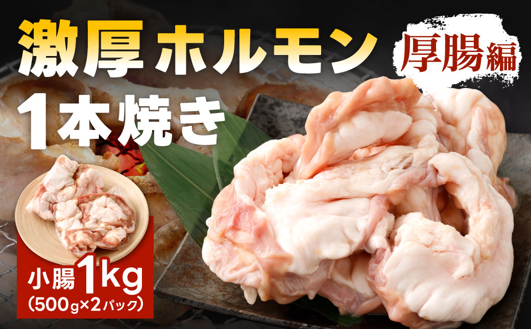 1本焼き 激厚 ホルモン 厚腸版 新鮮 ホルモン 塩ホルモン モツ もつ 牛モツ 牛もつ ぷりぷり 旨味 黒毛和牛 小腸 腸壁 真空パック 国産 九州産 冷凍