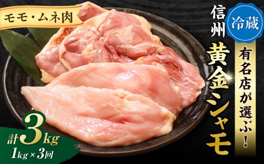 
                  【3回定期便 】朝びき！信州黄金シャモ モモ・ムネ肉セット　合計約1kg｜グランドチャンピオン地鶏 軍鶏 鶏肉 冷蔵
                