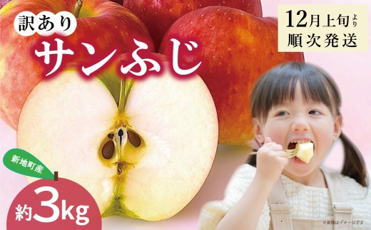 りんご サンふじ 訳あり  約3kg 1箱  | 果物 くだもの リンゴ フルーツ 旬 産地直送 農家直送 食品 人気 おすすめ 送料無料 お取り寄せ 福島県 新地町 訳アリ わけあり 葉とらず サンフジ フジ ふじ りんご