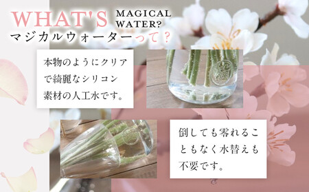 新春　淡雪桜　さくら　魔法の水　マジカルウォーター『淡雪』