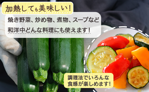 【産地直送】中神農園の ズッキーニ 約2kg (10～12本) 【期間限定：11月下旬～5月下旬発送】野菜 夏 やさい 煮る 炒める 生食 ミネラル ビタミンC ずっきーに 新鮮 甘み 酸味 用途多様