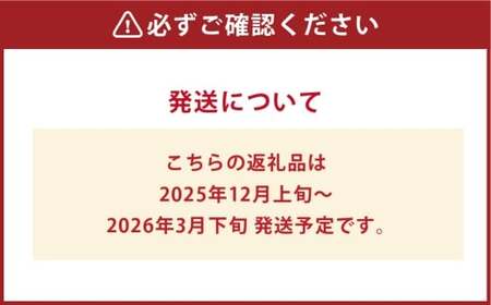 いちご詰合せ 普通箱 約1.8kg 倉敷産 イチゴ いちご 苺 フルーツ 果物 詰め合わせ セット【2025年12月上旬～2026年3月下旬迄順次発送予定】