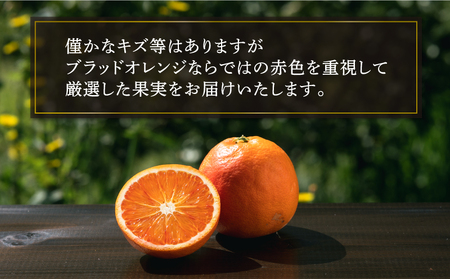 ブラッドオレンジ タロッコ Special selection 2.5kg コルレオファーム 先行予約 果物 フルーツ ブラッド オレンジ 柑橘 みかん mikan 愛媛ミカン 愛媛蜜柑 愛媛みかん 