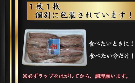 特選 しまほっけフィーレ（大） 10枚 ホッケ ホッケ ホッケ ホッケ ホッケ ショウマル下谷