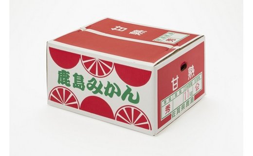 B-99 佐賀県鹿島産『温州みかん』約１１ｋｇ