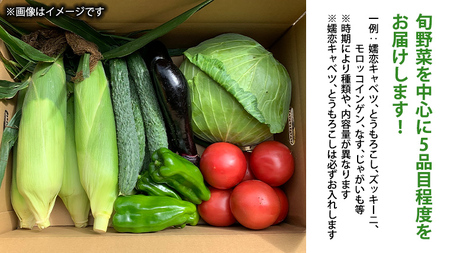 【 8月下旬発送開始】 嬬恋 キャベツ と旬の 高原 野菜 セット 4人様 ファミリー向け きゃべつ 群馬 419 嬬恋キャベツ 産地直送 詰め合わせ アソート [AK002tu]