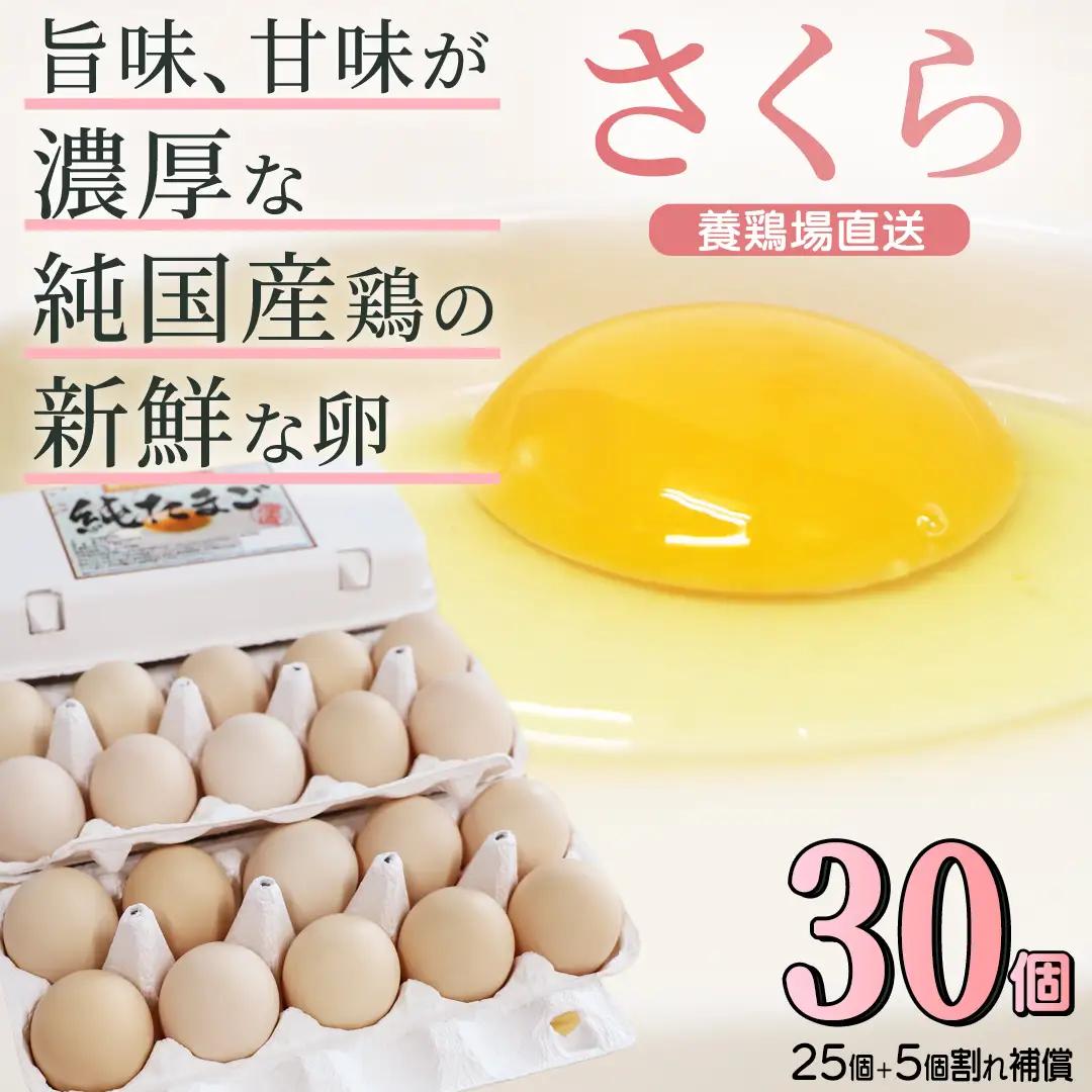 【卵】純国産鶏「さくら」純たまご 30個入り (AJ027)