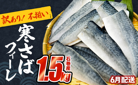 さば 〈 訳あり 〉6月配送 宮城県産 寒さば フィーレ 無塩 1.5kg 冷凍　魚 青魚 鯖 切身 焼魚 煮魚 わけあり 不揃い ご家庭用 食塩無添加 国産 鯖フィレ サバフィーレ 切り身 バラバラ冷凍 鯖の味噌味 宮城県 石巻市
