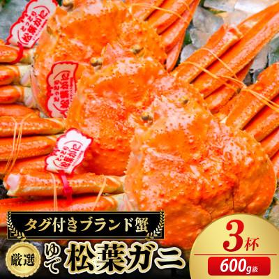 ふるさと納税 京丹後市 ズワイガニ 姿【厳選!タグ付きブランド蟹】茹で松葉かに 600g級×3杯