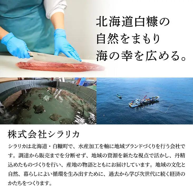 【ふるなび限定】漬け丼 の素 北海道 白糠町産 天然 ぶり 10袋  漬け丼 ブリ ハマチ ふるさと はまち 刺身 お刺身 海鮮丼 北海道産 漬け 海鮮 お刺身 小分け 簡単 お手軽 buri ham