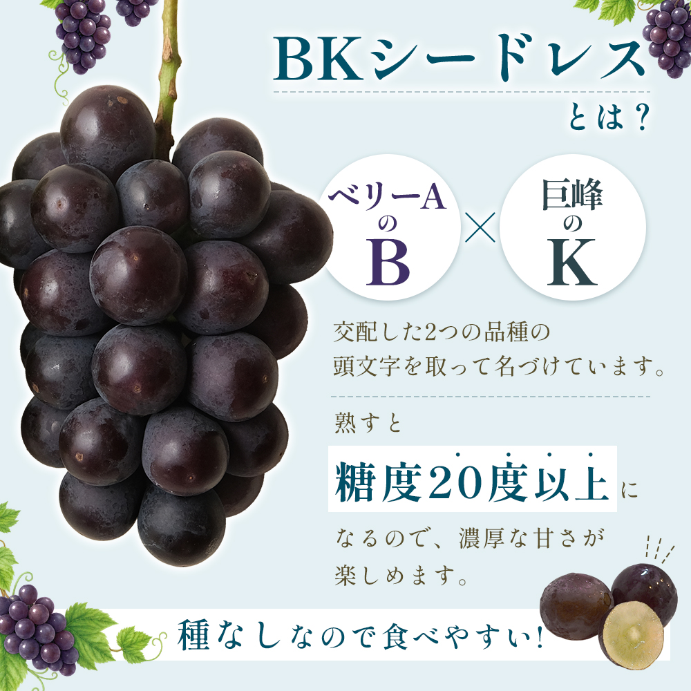 大分県産 BKシードレス 約1kg (2～3房) 2B6