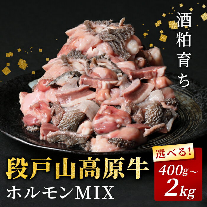 【ふるさと納税】国産牛 段戸山高原牛 ホルモンMIX 2kg 1.2kg 800g 400g もつ鍋 焼肉用 ホルモン ホルモン焼き もつ鍋 焼肉 BBQ キャンプ 肉 鉄板焼き -192