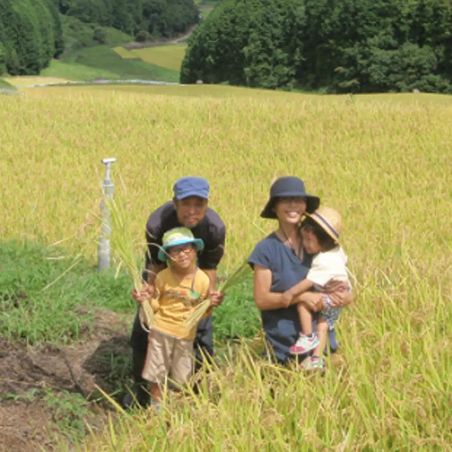 【令和8年産 新米】しょうちゃんの棚田米 夢しずく 米 5kg 佐賀県産 精米 栽培期間中農薬・化学肥料不使用 _b-93
