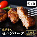 【ふるさと納税】飛騨牛入特製生ハンバーグ　100g×10個【配送不可地域：離島】【1491576】