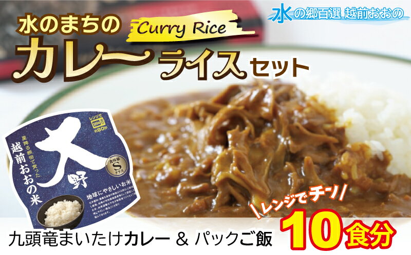 【ふるさと納税】【先行予約】レンジでチン！水のまちのカレーライスセット【10食分】[B-003012] 防災 備蓄