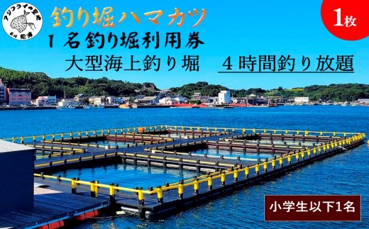 【釣り堀ハマカツ】1名釣り堀利用券(小学生以下1名)【C2-026】