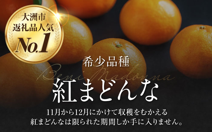 【全2回定期便】【数量限定】紅まどんな＆甘平 柑橘王国・愛媛が誇る柑橘2種の贅沢柑橘定期便！ 果物 フルーツ みかん 甘平 まどんな 愛媛県大洲市/愛媛たいき農業協同組合[AGAO013]