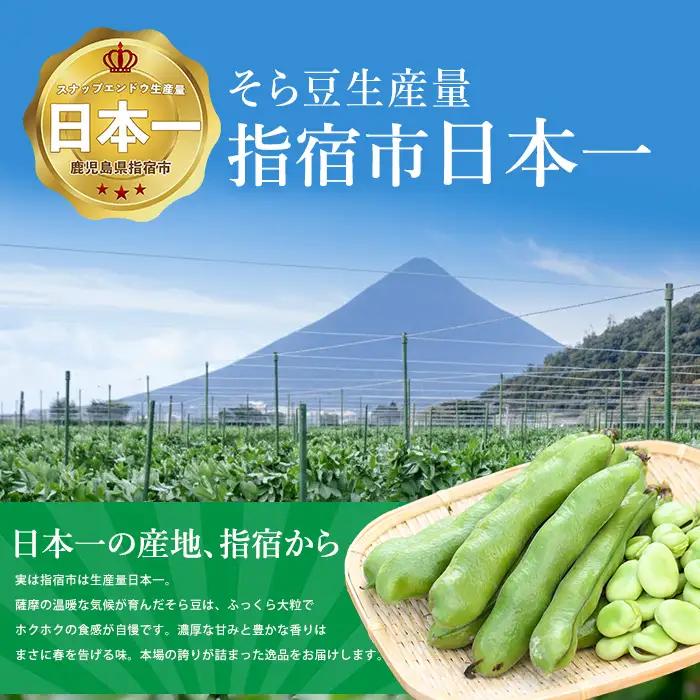 2027年3月上旬以降発送 訳アリ・ご家庭用 そら豆Lサイズ 約3kg IB092-006