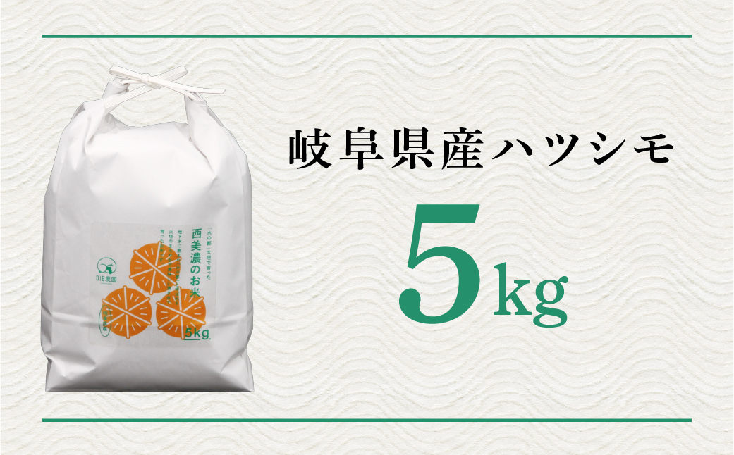 新米 令和7年度産 ハツシモ 5kg 水の都大垣の新米 5キロ×1回
