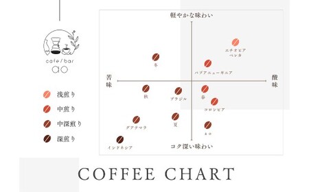 【粉】 【12か月定期便】 グアテマラ ゴールデンパレンシア リオ ウォッシュド （中深煎り） 400g コーヒー 珈琲 粉 こな
