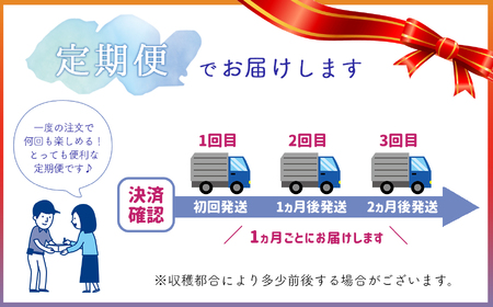 【 定期便 3回 】 熊本たまな産 イチゴ 恋みのり 約1000g （ 250g × 4パック ） | フルーツ 果物 くだもの 苺 いちご 定期 熊本県 玉名市