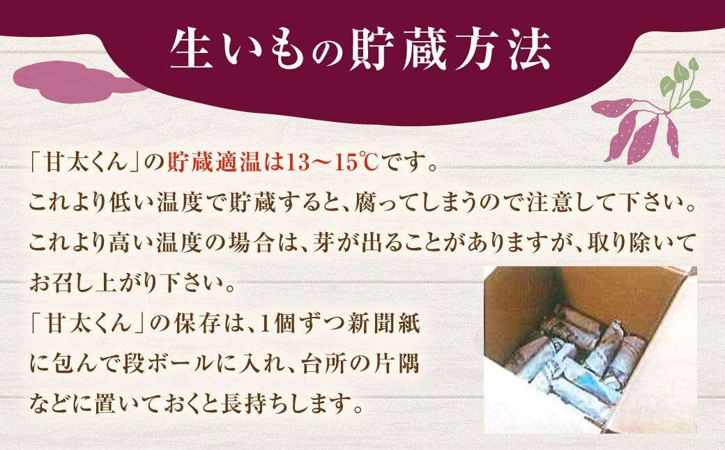 171-1134 【先行予約】 高糖度さつまいも 甘太くん 約1.2kg（Lサイズ2本・Mサイズ3本） サツマイモ 甘藷 かんしょ おやつ 焼き芋 【2024年11月下旬から2025年4月下旬発送予定