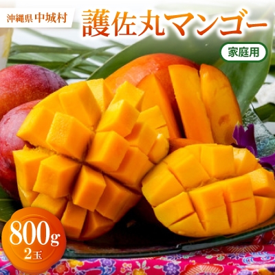 
                  【2027年6月上旬から順次発送・家庭用】護佐丸マンゴー800g(2玉)【1676033】
                