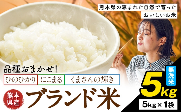 
                  米  南関町 単一原料米 (ひのひかりorにこまるorくまさんの輝き) 無洗米 5kg《7-14日以内に出荷予定(土日祝除く)》熊本県産 国産 ひのひかり 無洗米 こめ コメ 5キロ
                