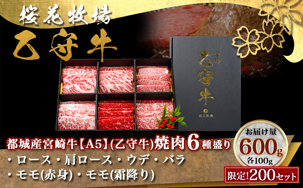≪限定200セット≫隔月6回お届け!【宮崎牛A5】焼肉6種盛り(乙守牛）_T192-6-6501