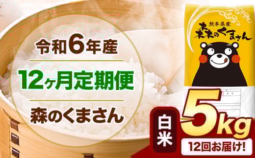 【12ヶ月定期便】令和6年産 白米  森のくまさん 5kg 5kg×1袋  《お申込み月の翌月から出荷開始》 熊本県産 白米 精米 米 こめ コメ お米 kome