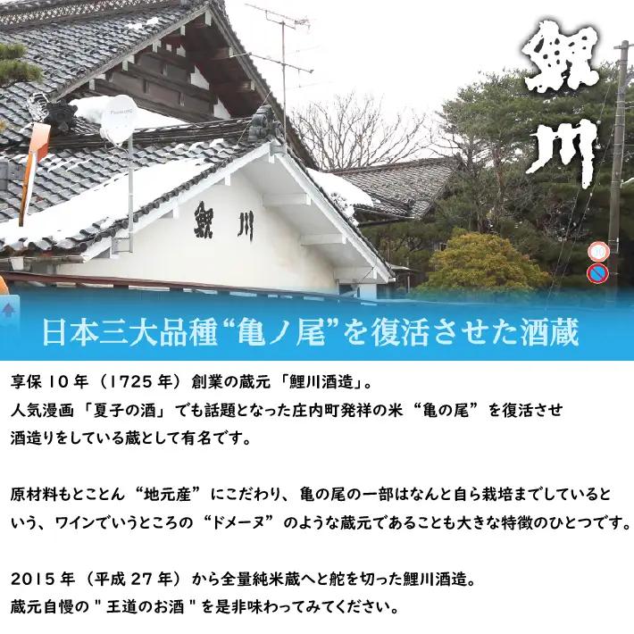 【3か月定期便】庄内の地酒 辛口の日本酒 鯉川酒造蔵元おすすめセット 720ml×2本 計6本 1725年創業（享保10年） 老舗酒蔵 日本酒 辛口 セット 定期【7月中旬発送/入金期限：2026年6