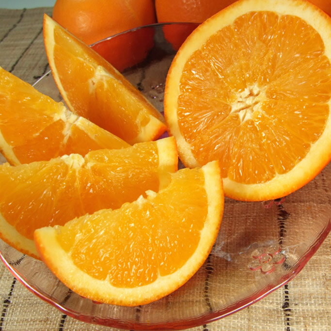 【ふるさと納税】【限定】 ネーブル 約 4.5kg サイズ おまかせ オレンジ フルーツ 果物 果実 柑橘 フレッシュ オランジェット オレンジピール 国産 食品 食べ物 紀伊国屋文左衛門本舗 お取り寄せ 和歌山県 湯浅町 送料無料