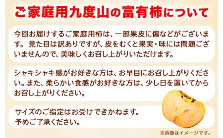 先行予約〈ご家庭用〉柿の名産地 九度山の 富有柿 約 7.5kg 厳選館 《2024年11月上旬-12月下旬頃出荷》 和歌山県 日高川町 柿 カキ かき ジューシー フルーツ