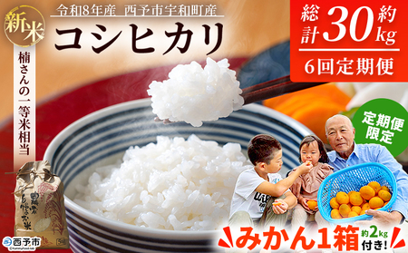 【先行予約】＼みかんもついてくる！／新米 ＜令和8年産 コシヒカリ 約5kg 6回定期便 ＋（定期便のみ）温州みかん2kg 西予市宇和町産＞ 白米 精米 楠さんの一等米相当 選べる 配送回数 お米 ご飯 愛媛県 西予市【常温】『2026年9月上旬から順次出荷予定』 UKK0006