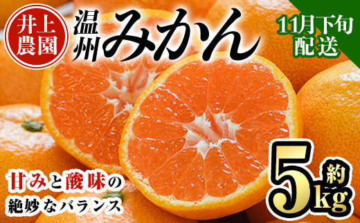 ＜先行予約受付中！11月下旬より順次発送予定＞数量限定 大分県宇佐市産 温州みかん(約5kg)みかん ミカン 蜜柑 柑橘 フルーツ 果物 くだもの 果実 国産【103610300】【井上農園】