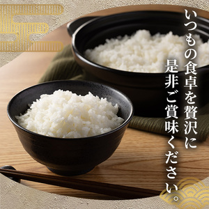 ≪令和8年産≫【6回定期便・無洗米】【食味鑑定士厳選】福岡県産 夢つくし(総計120kg・5kg×4袋×6回) 米 無洗米 お米 おこめ ごはん ゆめつくし ご飯 常温 福岡県産 ブランド米 定期便 