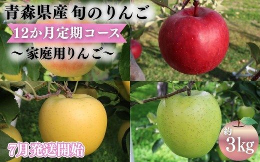 
                  【2027年7月発送開始】青森県産 りんご 12ヶ月定期便 約3kg 家庭用 1年間品種リレー 食べ比べセット 毎月配送 青森りんご 林檎 フルーツ 平川市
                