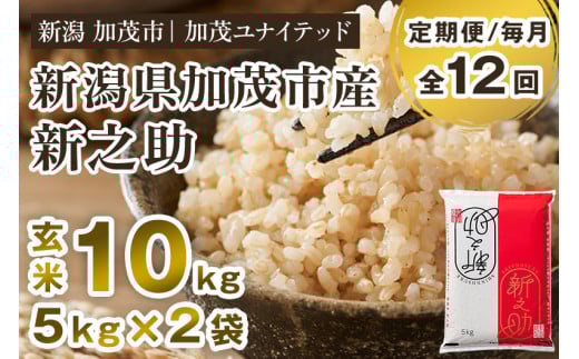 【令和7年産】【定期便12ヶ月毎月お届け】新潟県産 新之助 玄米10kg（5kg×2袋）《順次発送》 新潟県産新之助 新潟産新之助 加茂市産新之助 新之助 しんのすけ 新潟 ブランド米 新之助 加茂市 加茂ユナイテッド