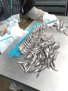 【ふるさと納税】まるふと厳選ひもの詰合せ（６種類）