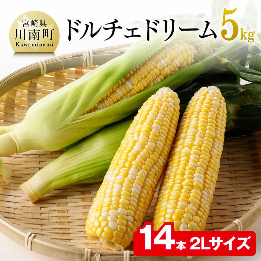【ふるさと納税】※レビューキャンペーン※【令和7年発送】朝どれ！守部さんちのドルチェドリーム (2L)5kg - 先行予約 数量限定 期間限定 スイートコーン とうもろこし 九州産 宮崎県産 川南町産 送料無料 D06404