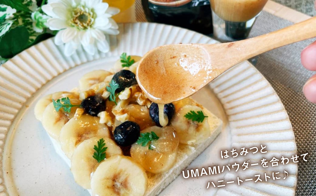 015-519 豊後大野市産 はちみつ と UMAMI パウダー 茂里商店