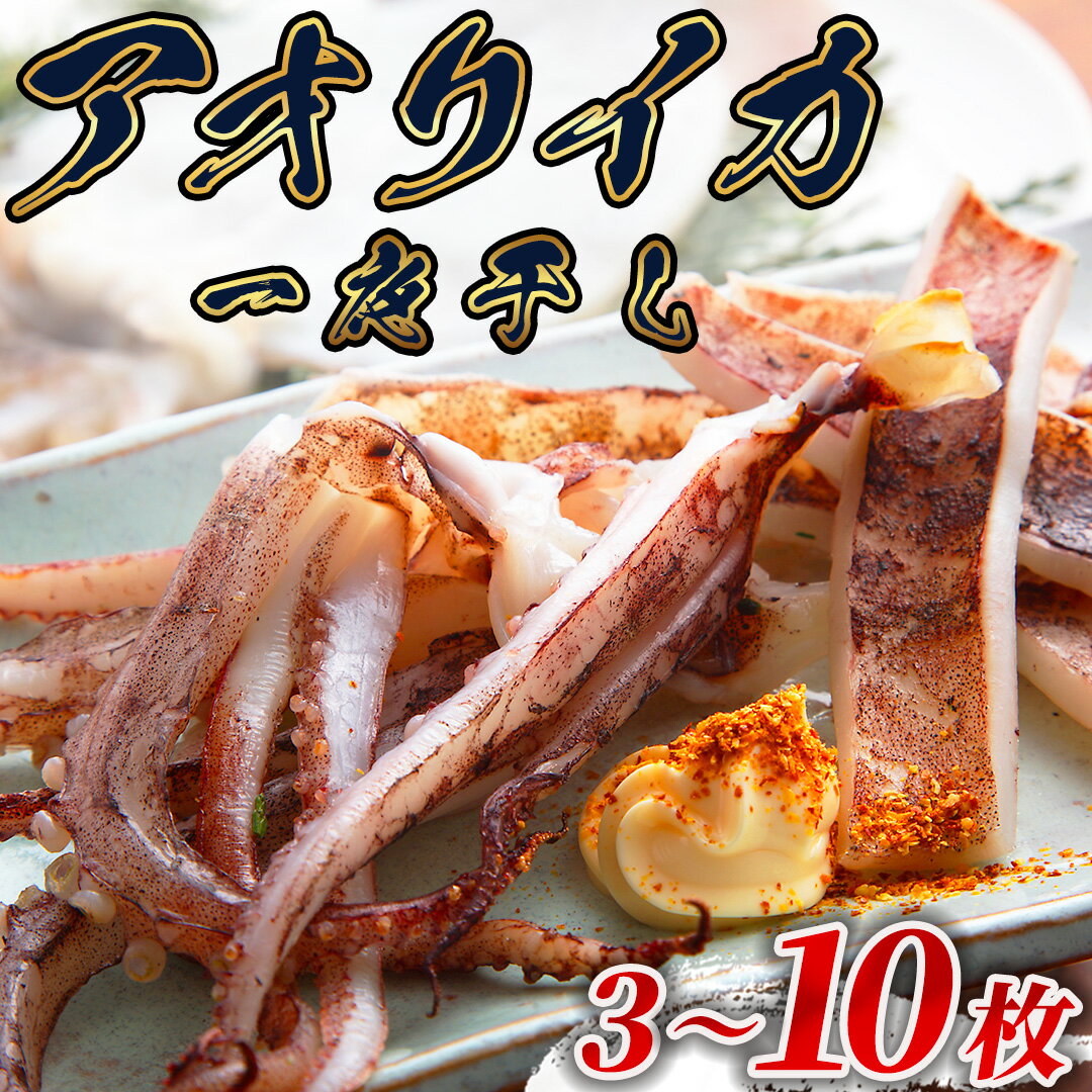 【ふるさと納税】 伊豆漁協加工・直送！ アオリイカ 一夜干し イカ イカ一夜干し ゲソ つまみ おつまみ 新鮮 冷凍 直送 美味い おすすめ 水イカ