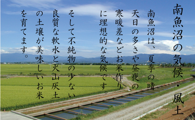 【令和7年産新米予約　頒布会】南魚沼産こしひかり2kg×全6回　契約栽培  雪蔵貯蔵米【2025年10月中旬以降順次発送予定】