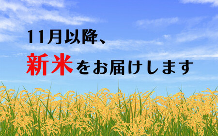 【 定期便 6回 】 かめまる農園の「ひのひかり」5kg（2ヶ月毎×6回）